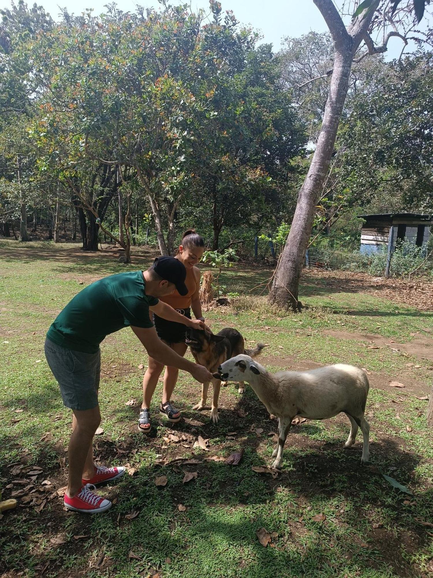 La Granja Apartamento *