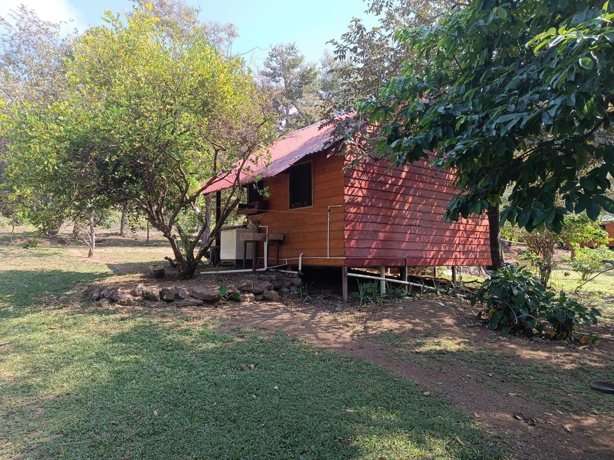 Apartment La Granja