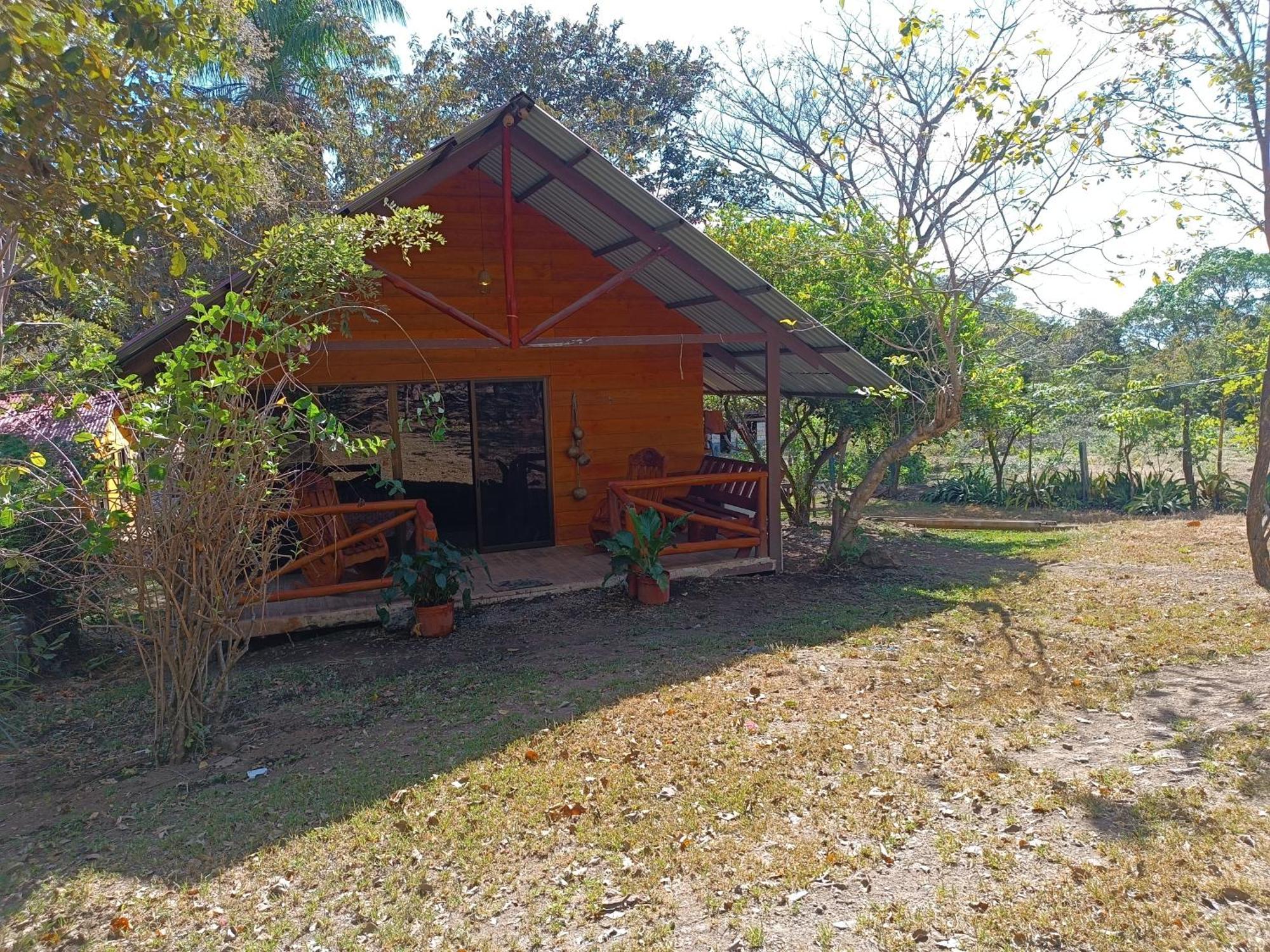 Apartment La Granja
